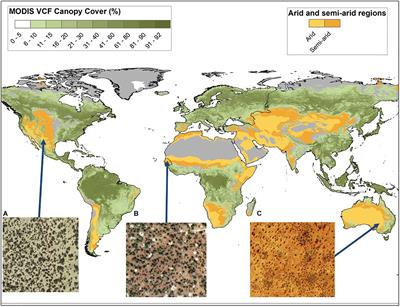Toward Operational Mapping of Woody Canopy Cover in Tropical Savannas Using Google Earth Engine